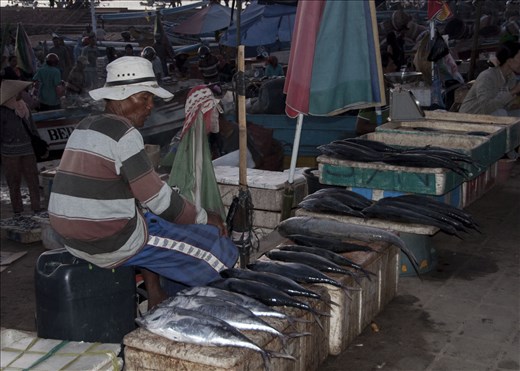 Pescadero fuera de los límites. Bali.