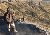Ascensión Rinjani #day2. Lombok: by manuel, Views[254]