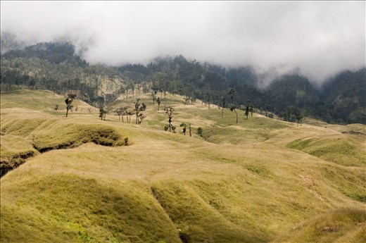 Ascensión Rinjani #day1. Lombok