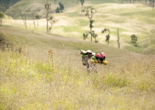 Ascensión Rinjani #day1. Lombok