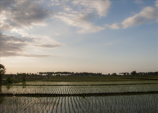 De camino a Ranjini. Lombok.