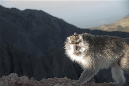 Ascensión Rinjani #day2. Lombok