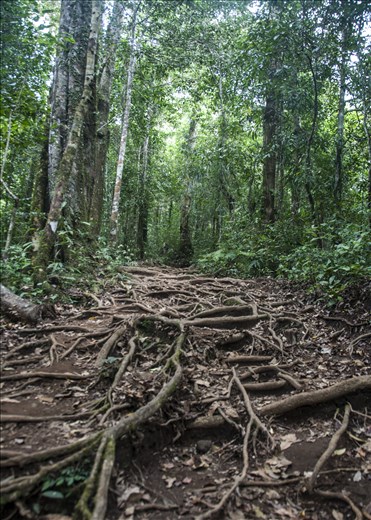 Ascensión Rinjani #day3. Lombok