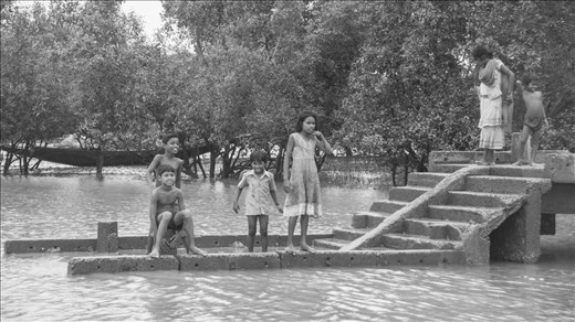 Sundarbans. West Bengal.