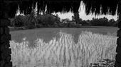 Sundarbans. West Bengal.: by manuel, Views[153]