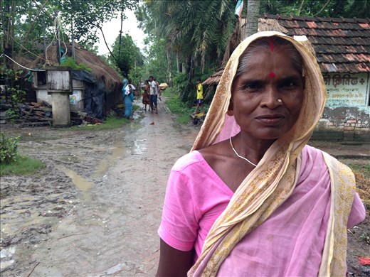 Fuerza. Sundarbans. West Bengal.