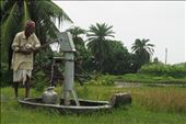 Por fin agua. Sundarbans. West Bengal.: by manuel, Views[259]