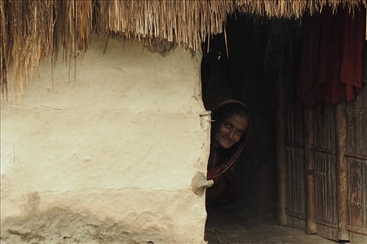 Hola! Sundarbans. West Bengal.