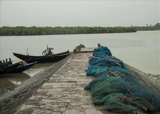 Sundarbans. West Bengal.