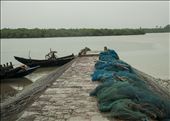 Sundarbans. West Bengal.: by manuel, Views[175]