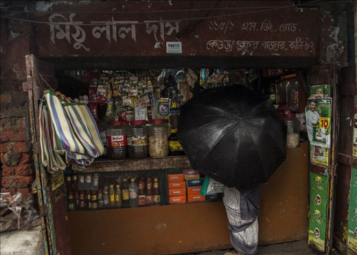 De camino a Sundarbans. West Bengal.
