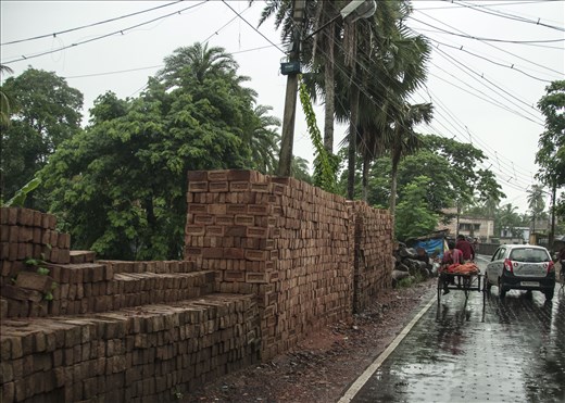 De camino a Sundarbans. West Bengal.
