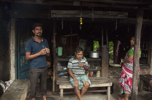 De camino a Sundarbans. West Bengal.