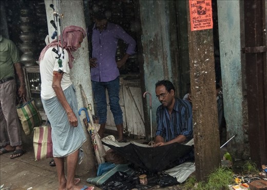 paragüero camino a Sundarbans. West Bengal.