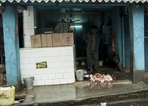 Pollos al final del día. De camino a Sundarbans. West Bengal.
