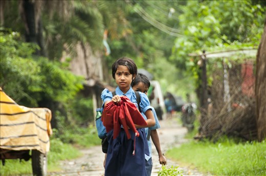 Vergonzoso. Sundarbans. West Bengal.