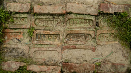 Suelo estable y friendly. Sundarbans. West Bengal.