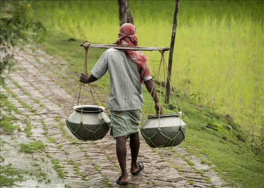 Sundarbans. West Bengal.