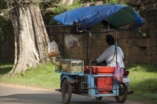 Alimentando hordas en Angkor Wat. Siem Reap. Camboya.