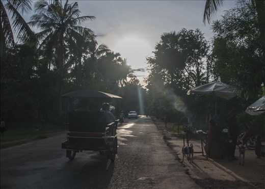 Tuk tuk y vendedora de ranas a la brasa. Siem Reap. Camboya.