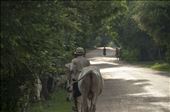 Paseando con sus vacas. Angkor Wat. Siem Reap. Camboya.: by manuel, Views[233]