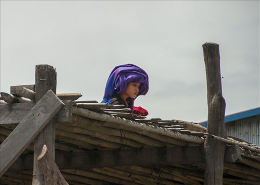 ¿Dónde habré puesto la manta morada??