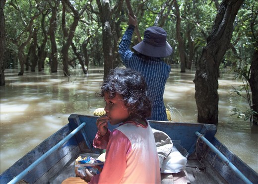 Otro paseo entre manglares.
