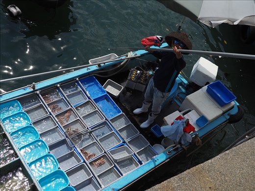 Pescador-pescadería haciéndose un selfie