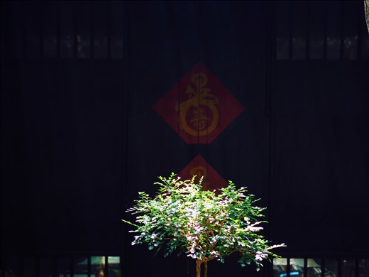 Juego de luces y sombras Zen