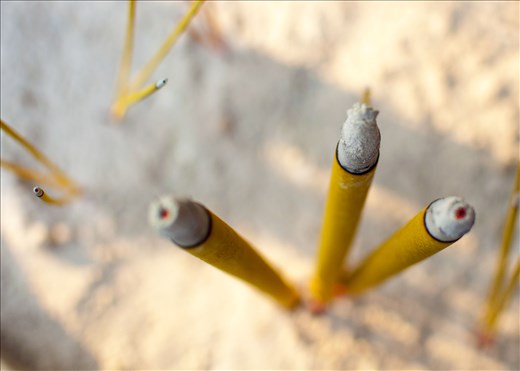 Olor a incienso. Eso sí lo echaré de menos.