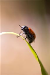 by manuelbm, Views[217]