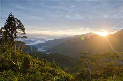 The Karunga Valley in the Western Highlands of Papua New Guinea. Each spur and valley separates one tribal territory from another. These families trade pigs for wives and only rarely brutally attack one another in order to settle scores, usually motivated by inter-village romances gone wrong. Otherwise, family life goes by slowly in this little slice of paradise where 85% of people live self-sufficiently off the land that they own as they have done for millennia.