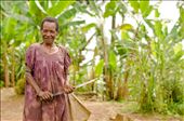 Grandmother Negundi prepares for another day tending to her crops of banana, pineapple, cucumber, papaya, peanuts, coffee and tobacco. What isn’t needed to support the family is traded at a weekly market for other essentials such as rice, meat, fish and of course chicken flavoured dried noodles, one thing that seems to be more pervasive than coca cola in this non-industrialised corner of the world.: by manwithamovingcamera, Views[1062]