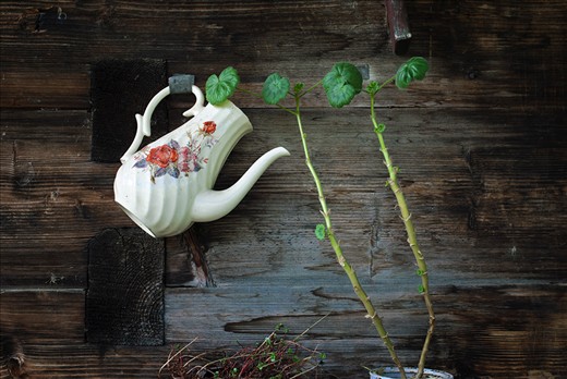 People here have a way of making simple things a piece of art by decorating the old wooden architectures with different simple objects. Simplicity is key word in every way possible.