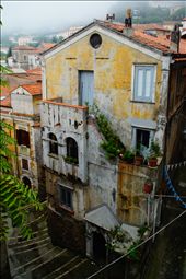 Old and tired, what colour remains of the building and the lush plants cut through the gloomy morning.: by maratea, Views[306]