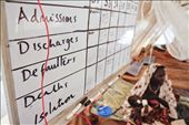 A field hospital chart shows the number of deaths in a Sudanese refugee camp.: by marc_ellison, Views[221]