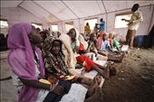 Young girls and boys gather in the camp's makeshift school to learn English.: by marc_ellison, Views[238]