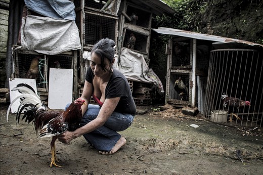 Una mujer sobreviviendo como campesina en Marsella