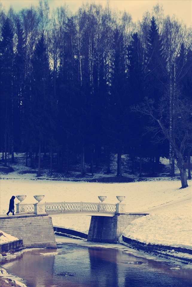 A lady walking at the garden of Pavlovsk palace. 