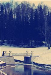 A lady walking at the garden of Pavlovsk palace. : by marcelo, Views[594]