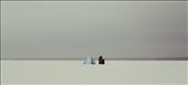 Saint Petersburg, Two fisherman camping on the frozen sea. 
: by marcelo, Views[672]