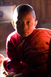 Young monk at monastery in the country at Kalaw, Myanmar: by marcevans, Views[262]