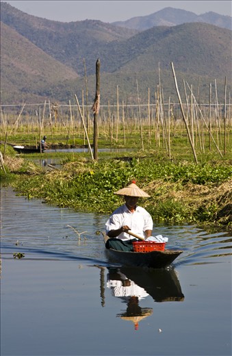 Local way of life on Inlay Lake in the floating gardens, Inle Lake, Myanmar