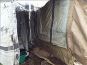 IDP Camp 'home': by marciechiwi, Views[265]