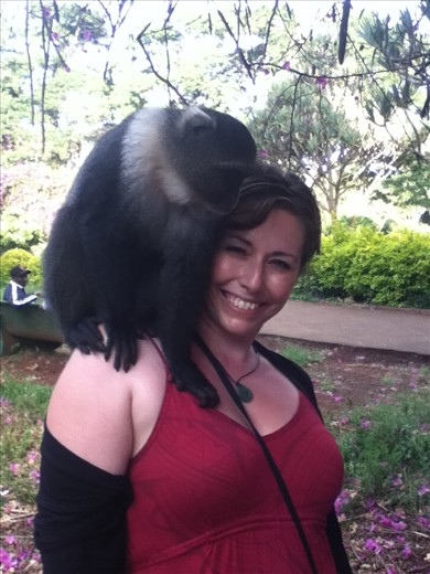 Well hello Mr Monkey