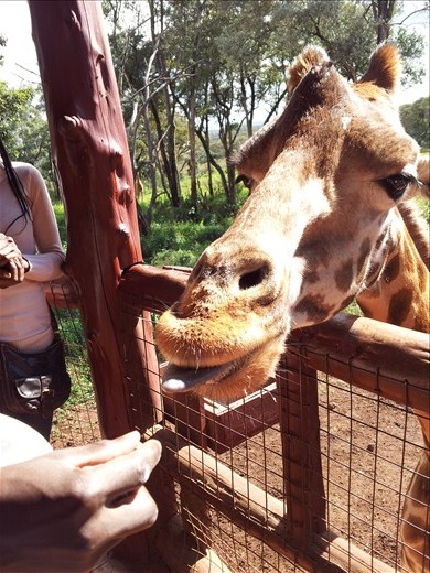 Well hello! Yes, I do have some food for you.