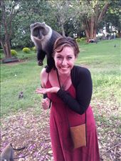 by marciechiwi, Views[890]