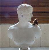 Naughty Kapai!: by marciekiwi, Views[183]