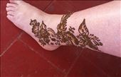 Henna again!: by marciekiwi, Views[326]