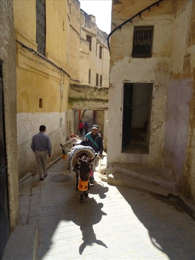 Transport in Fez' medina